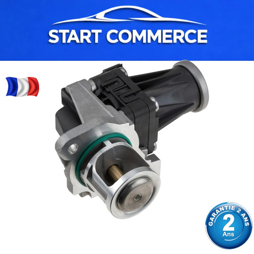 Vanne egr pour - vanne, renault