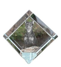 Pinscher allemand dé à coudre avec un chien Art-Dog