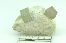 Pyrite cubique sur gangue Espagne (C)