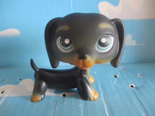 Petshop chien teckel 325 - petshop,