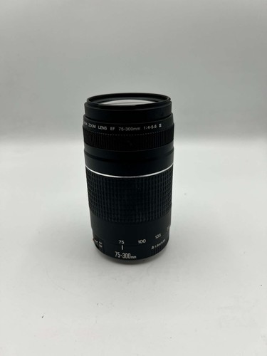 Canon zoom lens 300mm - zoom, 75-300mm