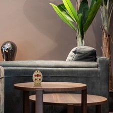 Boîtier de botte à dents