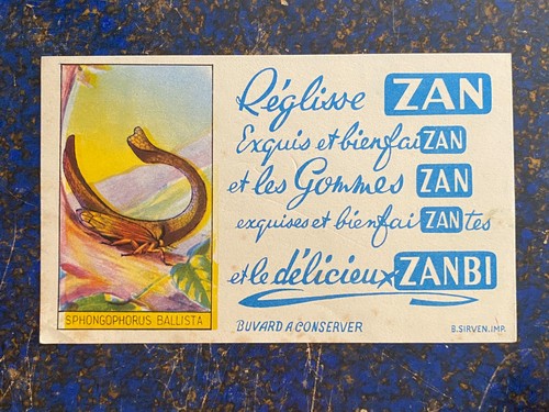 Buvard publicitaire lot 4 - publicitaire,