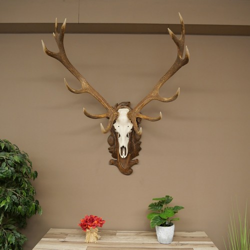 Haut cerf uuger 14 tines - cerf, uuger.