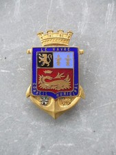 Rare insigne / broche Conseil