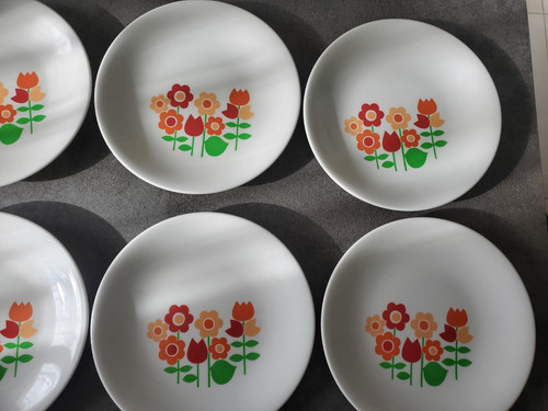 Lot assiettes plates en - lot, 6