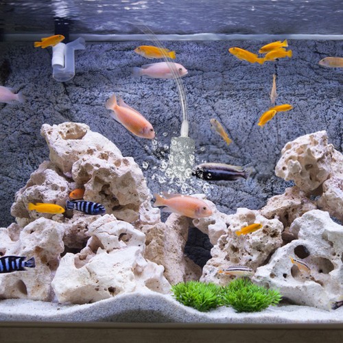 Pompe air pour aquarium - pompe,