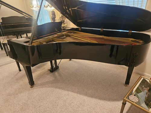 1985 yamaha conservatory - 1985, c7