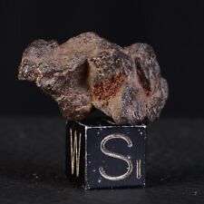 Météorite NWA 15738 de 5,53 g - Pallasite individuelle 
