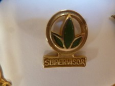 pin pin's HERBALIFE SUPERVISOR