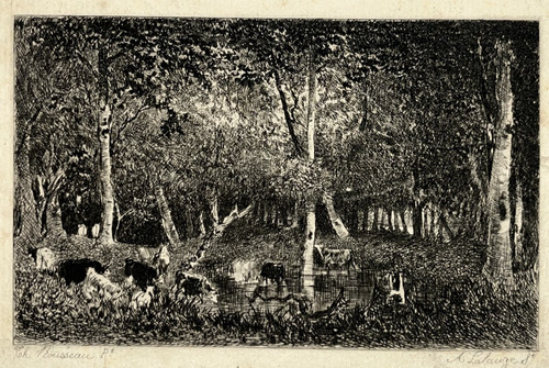 Bois vaches gravure eau forte - vaches,