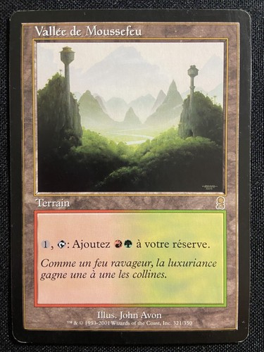 Carte magic rare terrain - carte, fr