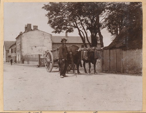 Auvergne 1900 attelage - 1900,