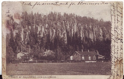 Suède lilleskog halleberg - suède,