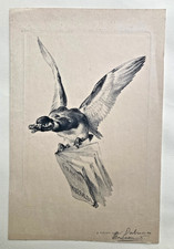 FELIX BRACQUEMOND 1833-1914