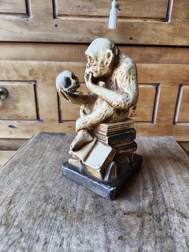 Statue singe darwin - darwin,, dans