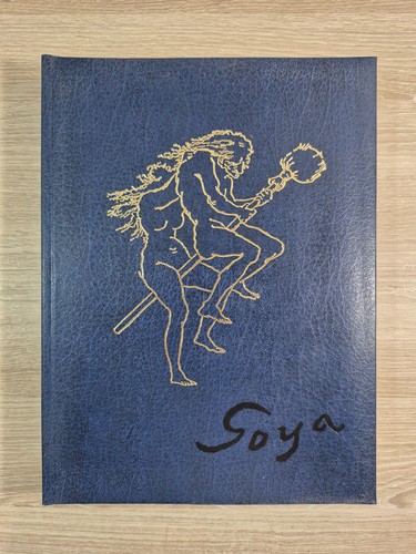 Francisco goya nouvelles - francisco,