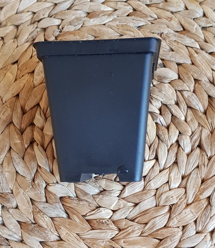 Pot 8x8x9 soparco noir - pot,
