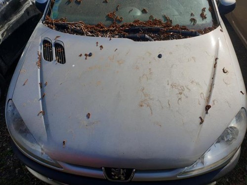 Capot peugeot 206 phase - capot,