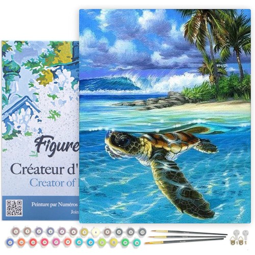 Peinture par numéro tortue - peinture,