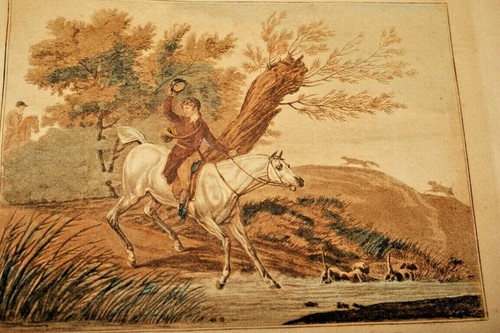 Fox hunting carle - fox, vernet