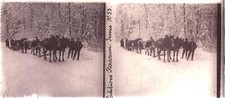 PLAQUE PHOTO STEREO VERRE 13 x 6 CM  HIVER ATTELAGE MIXTE STEREOSCOVI N° 53