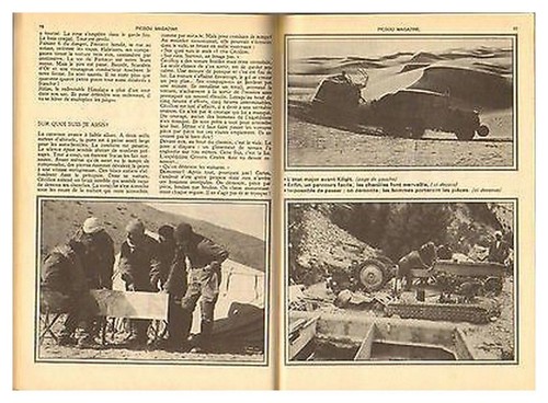 1981 document ref picm - :, (ref