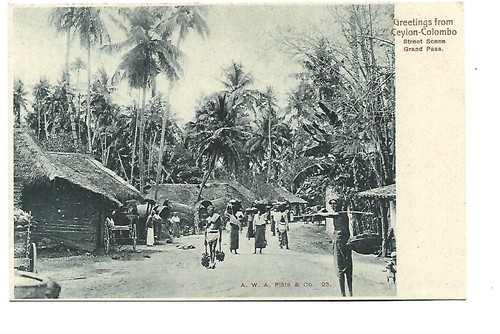 Sri lanka ceylon colombo - sri,