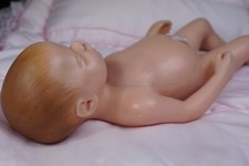 RARE Somso Anatomically