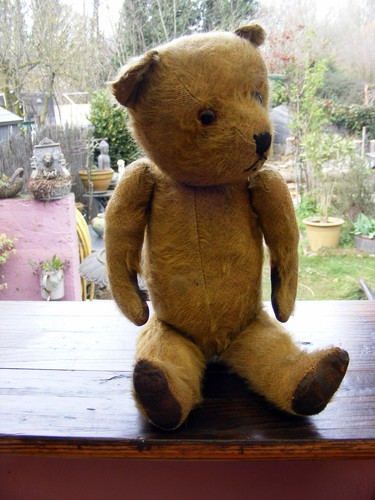 Bel ours anglais ancien - anglais,