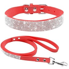 Ensemble laisse collier - ensemble,
