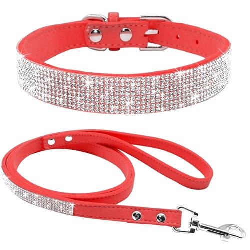 Ensemble laisse collier - ensemble,