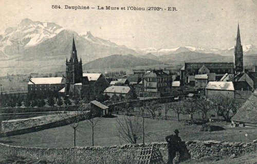 Cpa mure - 38,