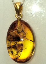 Pendentif En Ambre Avec