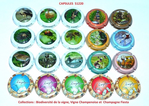 Séries 20 capsules - =, de