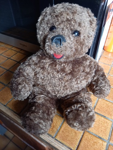 Ours peluche bonne nuit les - "bonne,