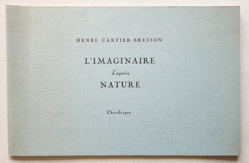 Imaginaire après nature - d'après,