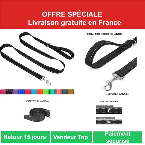 Taglory laisse chien - laisse,