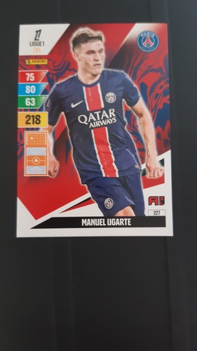 Panini adrenalyn ligue - panini,