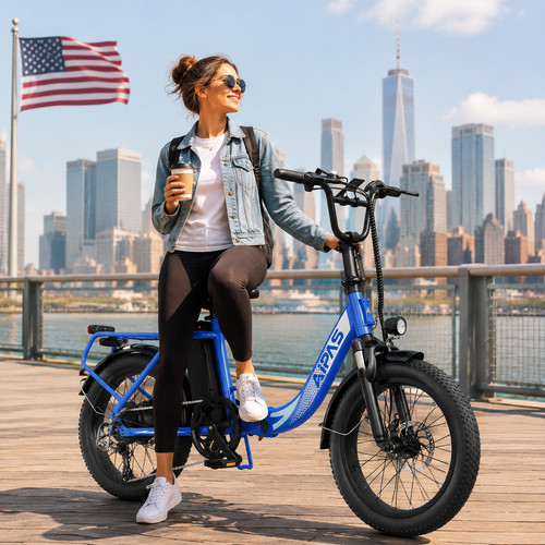 Fat tire electric bike - tire,