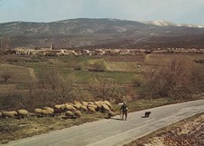 Carte postale postcard 10x15cm