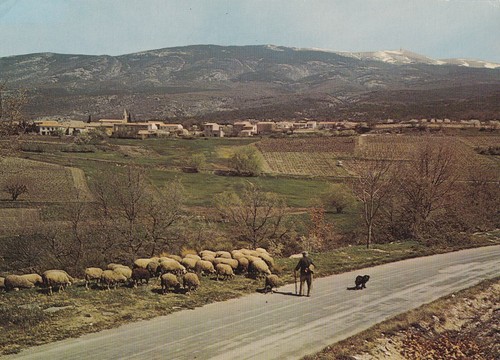 Carte postale postcard - , 10x15cm