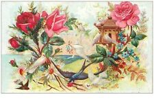 OISEAUX.n°21033.HIRONDELLES