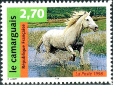 TIMBRE France 1998 N° 3182 ** ( Cheval le Camarguais ) TBE