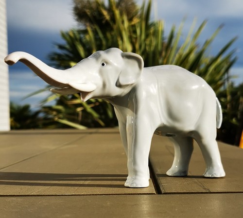 Superbe éléphant - , en