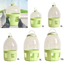 Abreuvoir pour pigeons