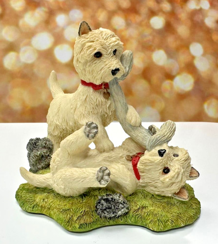 Westies tugging rope - westies,