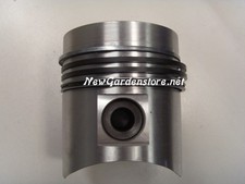 Piston Avec Segments STANDARD