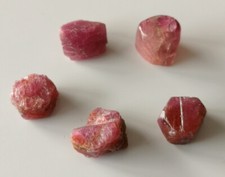 Lot de 5 Rubis Corindon brut
