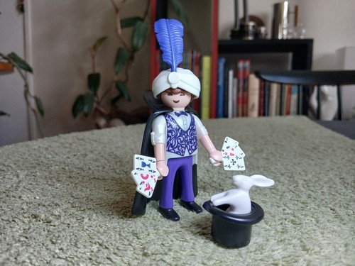 Cirque spectacle playmobil - spectacle,